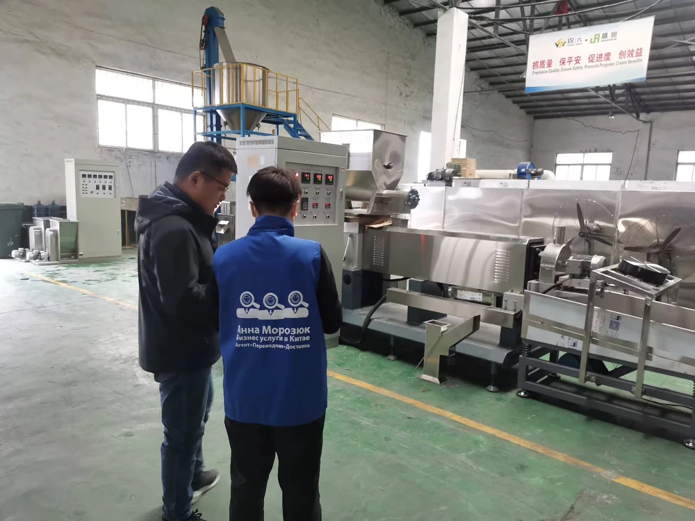 Two colleagues discussing machinery on a factory floor